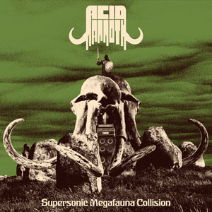 Acid Mammoth - Supersonic Megafauna Collision (HPS299 - 2024)