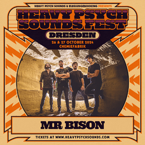 HPS Fest - Dresden 2024 - Mr Bison